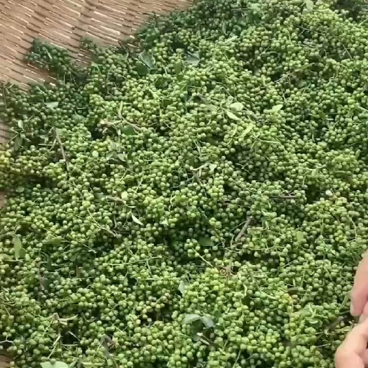 彝良县青花椒，价格合适，品质保证