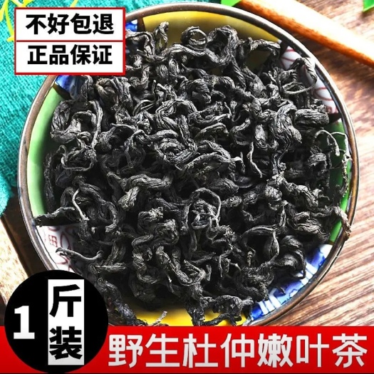 灵宝市杜仲茶高山杜仲树嫩叶