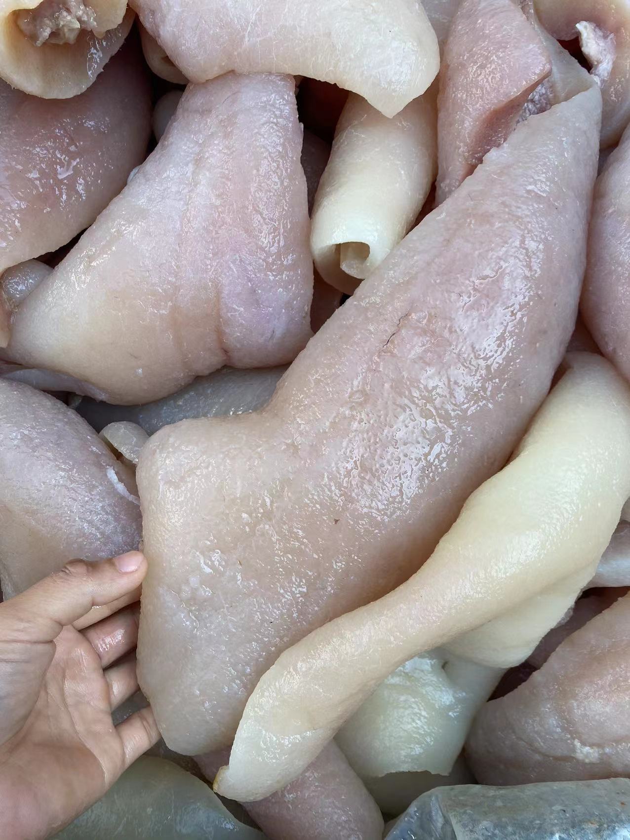 牛头皮