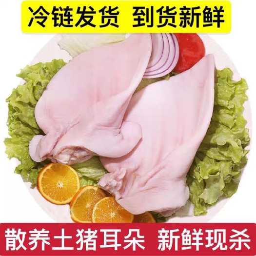 南京【新品冲量】农家土猪耳朵新鲜冷冻猪耳朵猪耳片 生猪耳土猪耳耳