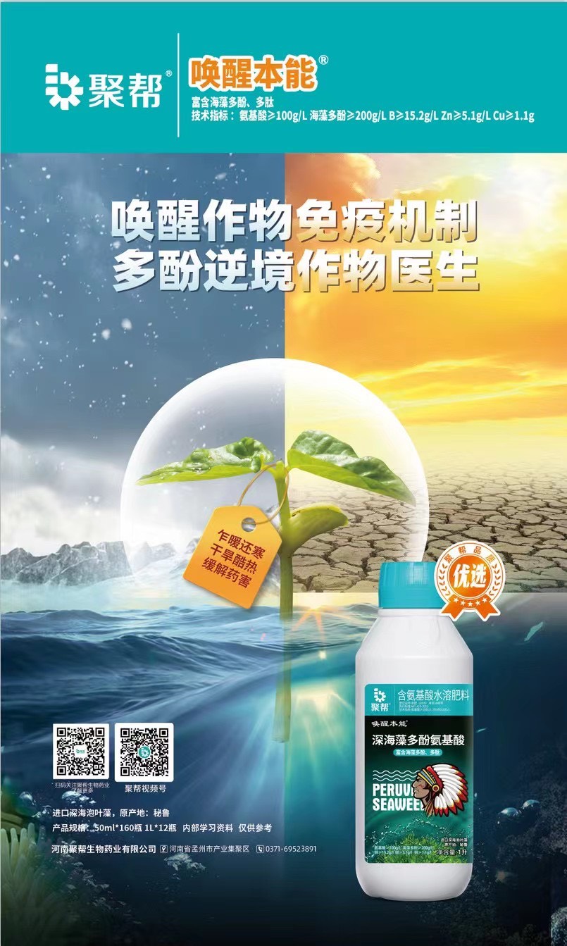 聚帮含氨基酸水溶肥料柑橘促花促果增蕾保花坐果壮果农资叶面肥
