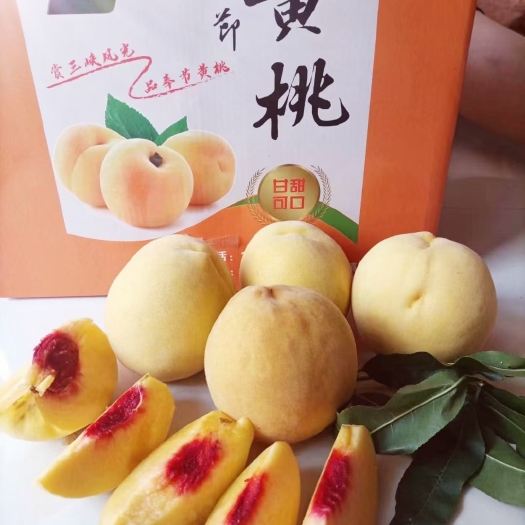 奉节奉节 高山黄桃