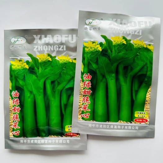 宿迁菜苔种子油绿甜脆菜心种子 翠玉白菜苔种子  德高青苔菜心种子