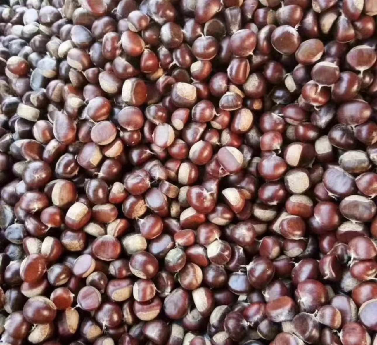 板栗，栗子，色泽光亮，香甜可口。