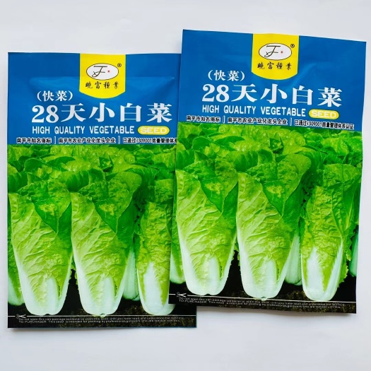 快菜种子28天小白菜种子 奶油快菜种子