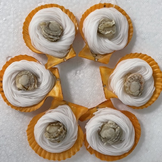 湛江黄金粉丝贝