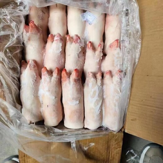 猪蹄整只现杀￼猪脚新鲜猪手带筋前蹄工厂大量现货餐饮食材直供