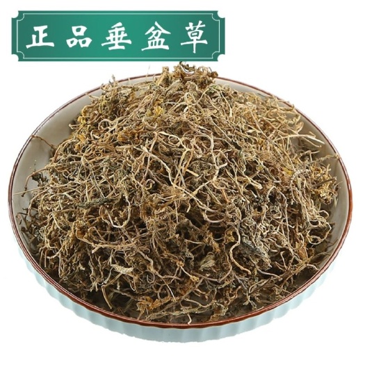 【热销】中药材垂盆草正品无硫纯干一公斤包邮