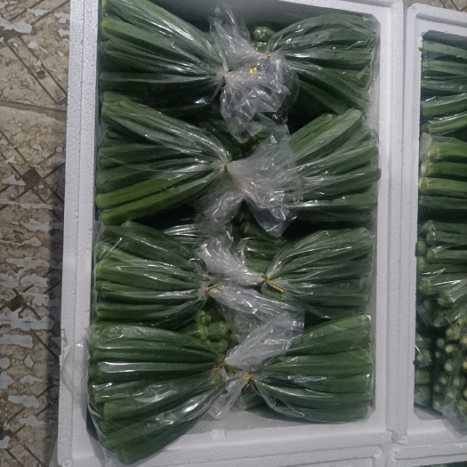 山东精品秋葵，源产地直供