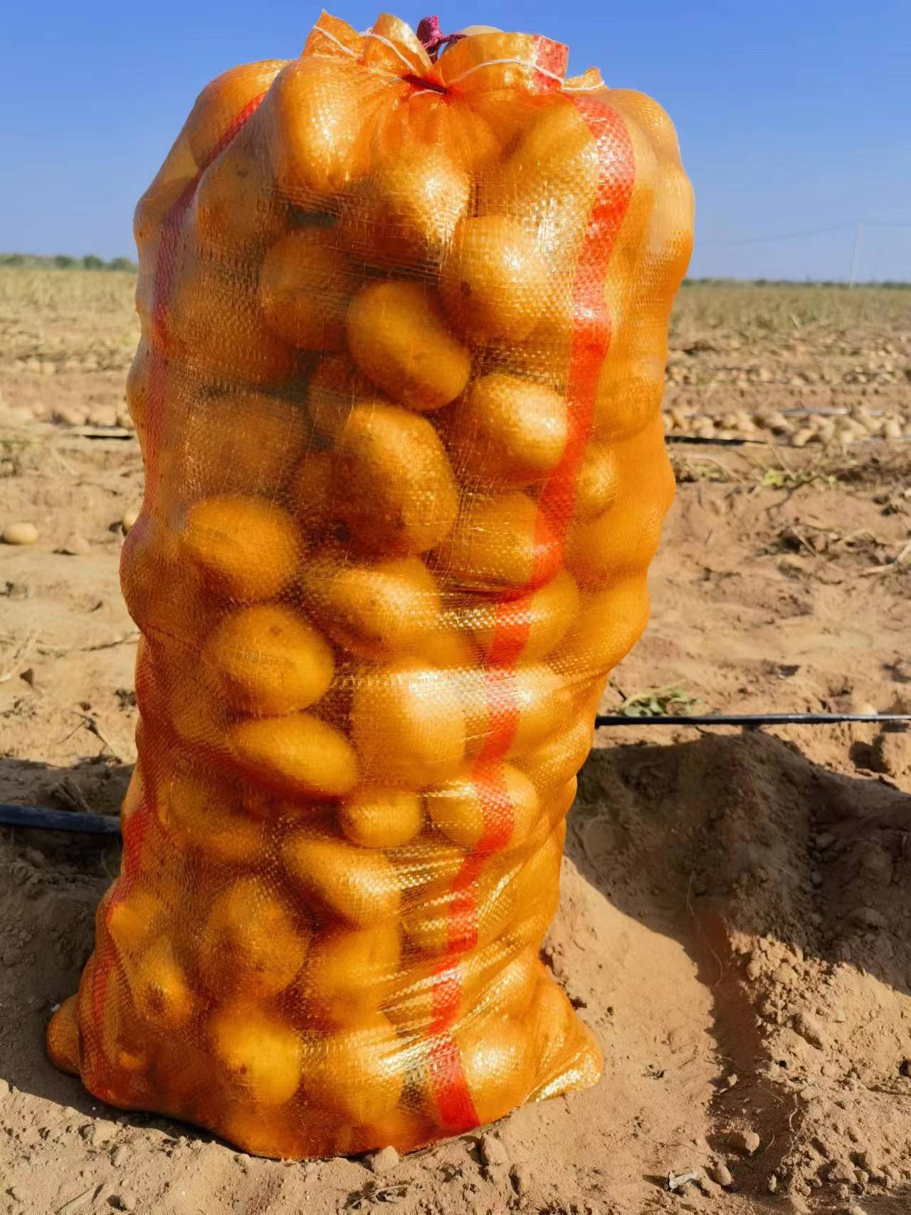 陕北土豆，黄心土豆中货，定制各种规格
