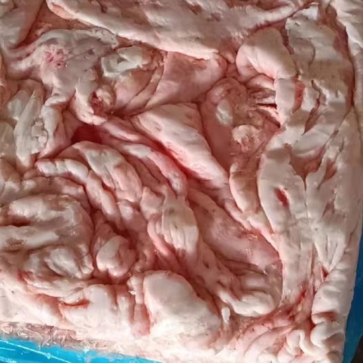 广州长期供应生牛油牛脂，腰肚油脂油等，欢迎长期合作。