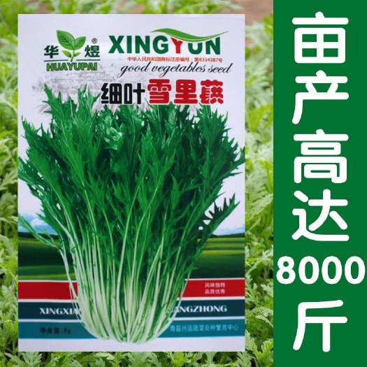 细叶雪里蕻种子细叶雪里红菜籽秋季雪菜芥菜蔬菜种子阳台盆栽菜籽