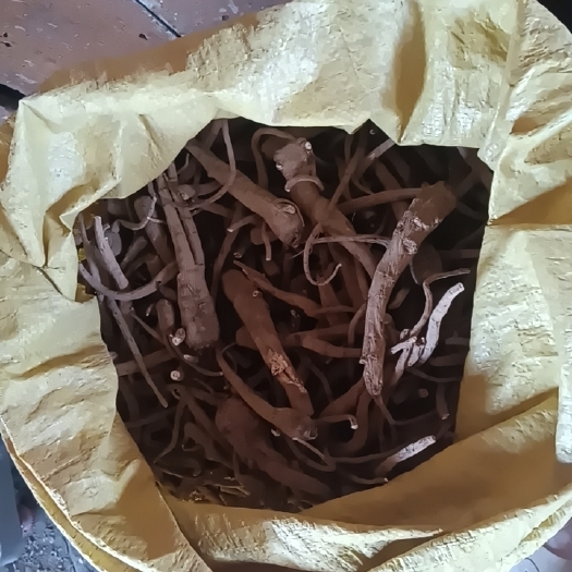 邻水县川白芷
