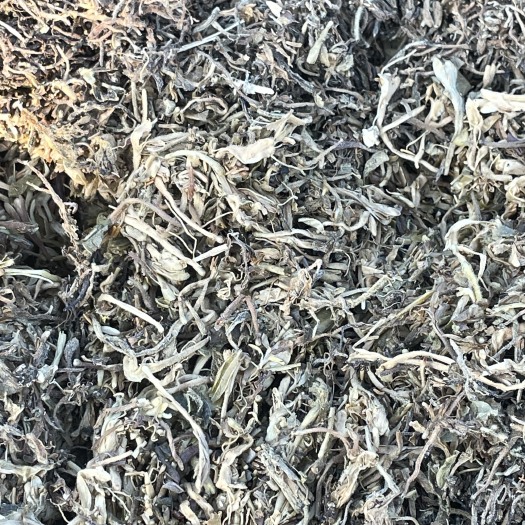 衡水湿双花，可做饲料添加