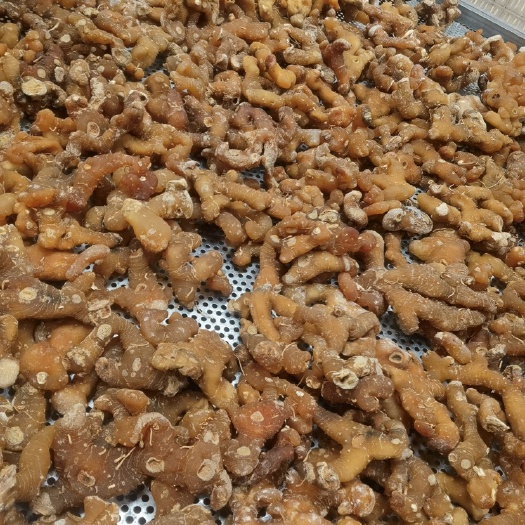 广州黄精 大个精品黄精干货，黄精无硫