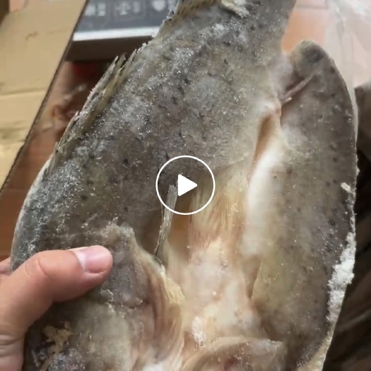 佛山开背海鲈