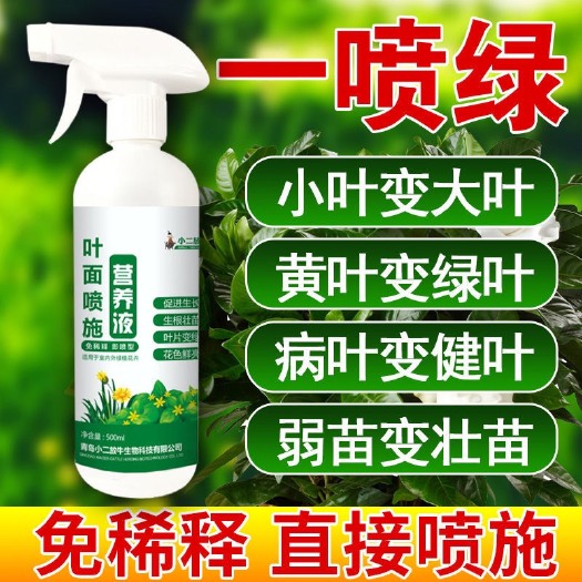 雅安植物营养液一喷绿