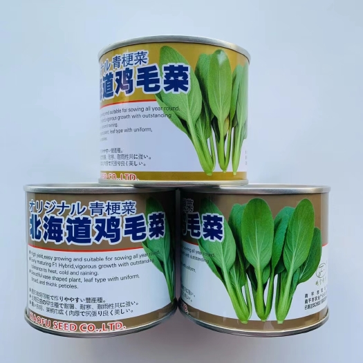 宿迁鸡毛菜种子 北海道鸡毛菜种子小青菜种子清梗小白菜种子