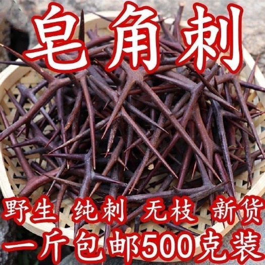 汝南县中药材皂刺 纯刺 皂角刺 皂荚刺 天丁 皂刺新货