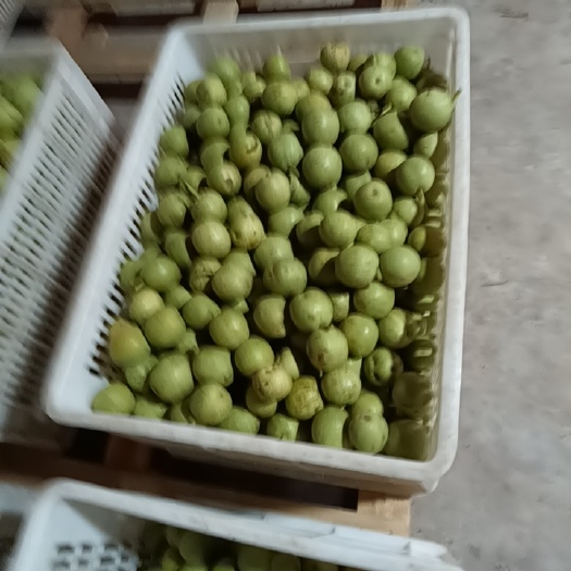 仁寿县清香核桃