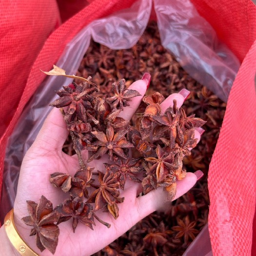 南宁越南八角水烫无硫磺 全干大红八角 春花八角
