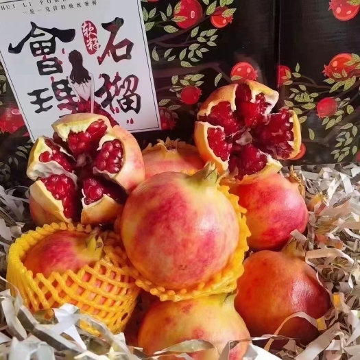 会理市会理突尼斯软籽石榴