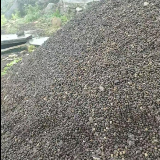鲁甸县优质纯羊粪