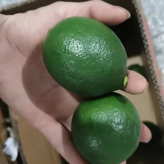 重庆市青柠檬北京青  万州青柠檬有籽皮薄汁多对接一件代发