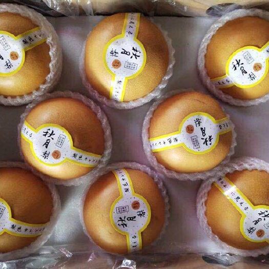 沭阳县秋月梨上市