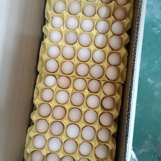 延津县虫草鸡蛋供应商，支持一件代发，喷码定制，