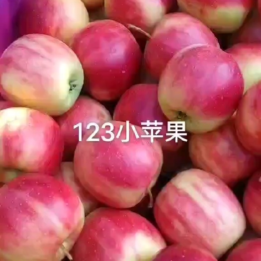 西丰县金红123