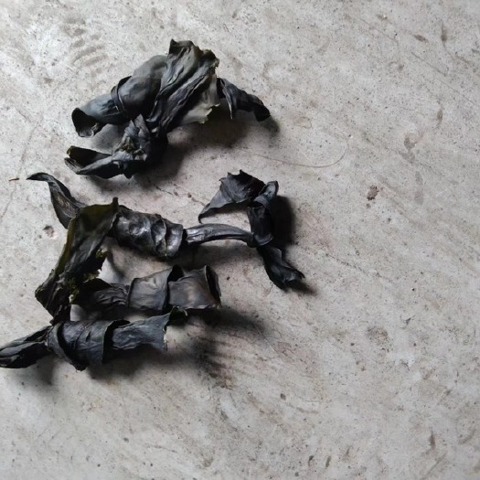 霞浦县霞浦精品干海带结