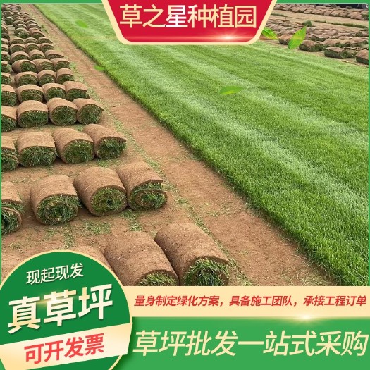 句容市四季青草坪，