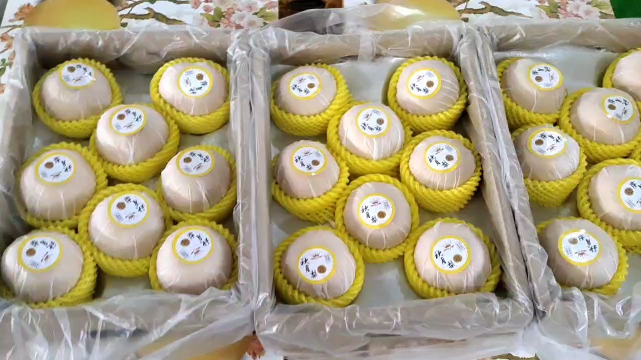 山东冠县（精品）秋月梨