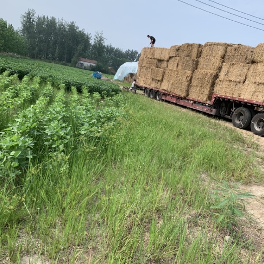 一次成型大方捆