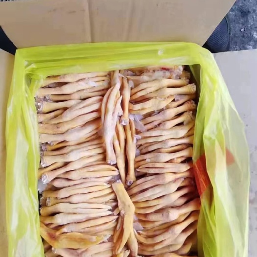济南黄皮鸭掌冻品厂家直销大小规格