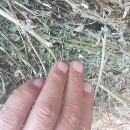 巴林左旗苜蓿草干草饲料