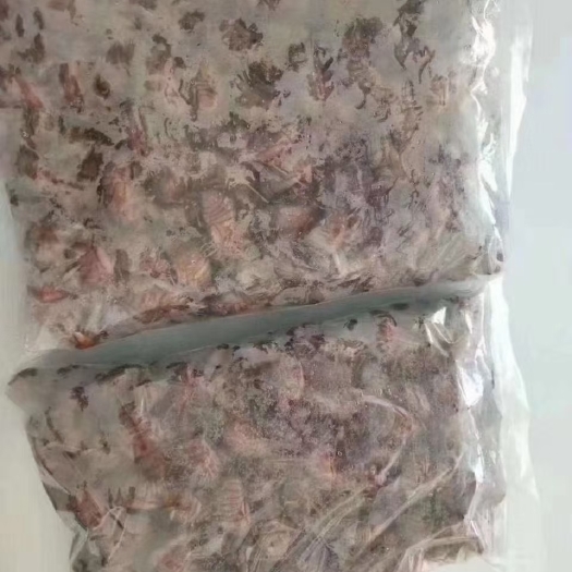 灵宝市杜仲金蝉白蝉批发零售