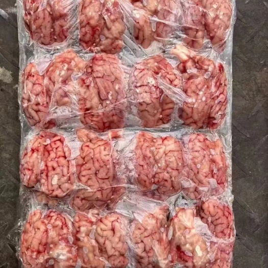 济南新鲜羊脑，羊对脑，羊板脑，厂家直销，精品好货，物美价廉