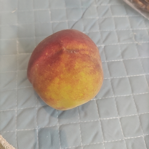 扶沟县桃