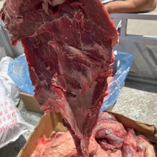 大块牛肉 牛碎肉  85比例 品质高