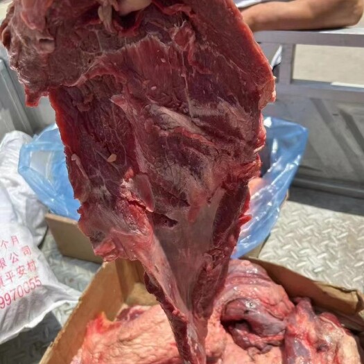 商河县大块牛肉 牛碎肉  85比例 品质高