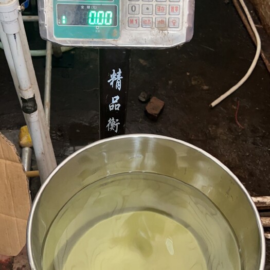 遂溪县澳洲茶树精油