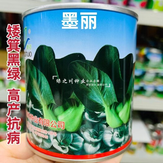 墨丽黑小胖苏州青种子黑叶油亮苏州青菜种子矮箕黑绿春秋两季播种