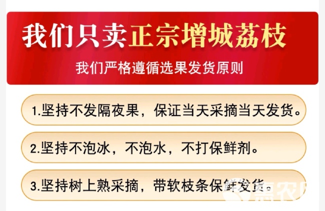 四川+增城原产仙进奉，肉厚核小、蜜香多汁！广东珠江台权喴报道