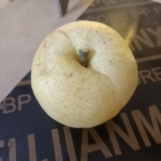 莱西市莱西黄金梨
