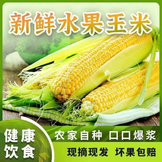 上林县新鲜现摘水果玉米甜玉米生吃爆浆脆甜