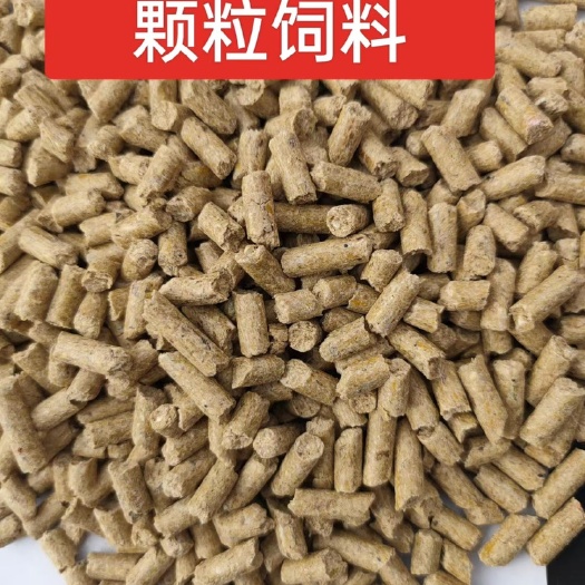 郓城县全价饲料