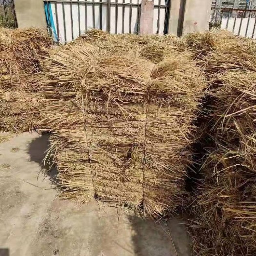 宜章县稻草，干稻草，牛饲料