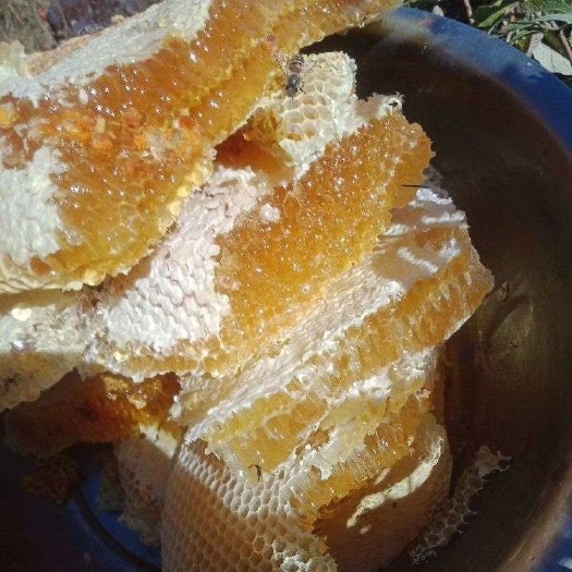 安福县土蜂蜜
